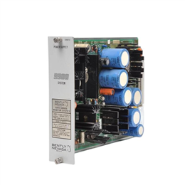 Bently Nevada 3300/12-02-20-00 电源模块