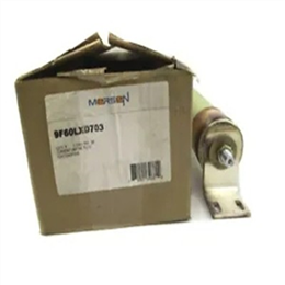 GENERAL ELECTRIC 55A212942P3RB 5.08KV  保险丝