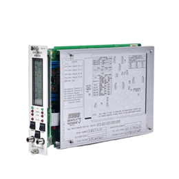 Bently Nevada 3300/20-03-01 双推力监测器