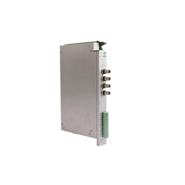 Bently Nevada 2201/02-02 系统监控器