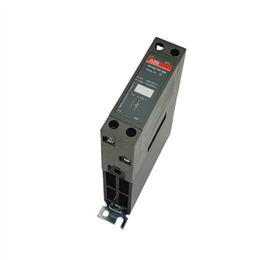 ABB R100.30-ZS 1SAR111030R8607 半导体接触器