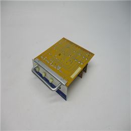 193X706AAG01  缓冲放大器