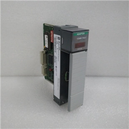  1336F-BRF100-AA​-EN USPP 1336FBRF100AAEN