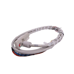 YOKOGAWA 16137-119互连I/O电缆