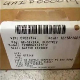 GENERAL ELECTRIC DS3820STMA1A1A  终端模块