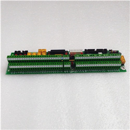 IS220PAICH2A | GE 输入/输出包