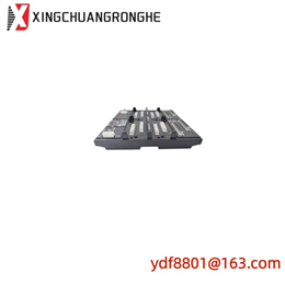 FOXBORO P0916AC FBM202 Thermocouple mV Input Module