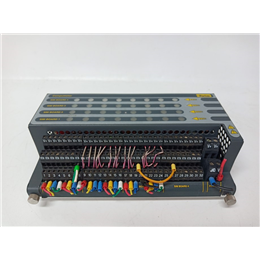 IC694MDL648CA GE 全新现货