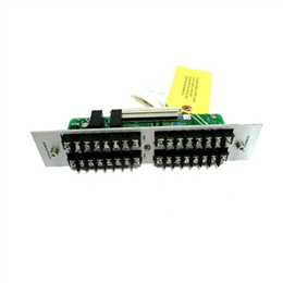 Bently Nevada 82365-01 信号输入/报警输出模块