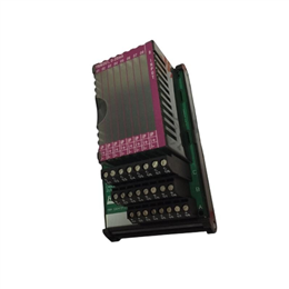 Foxboro P0916GG FBM204现场终端组件