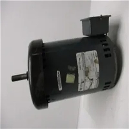 GENERAL ELECTRIC 5KCP49ZV9623BS  电动机