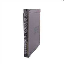 ICS TRIPLEX T8431模拟输入模块