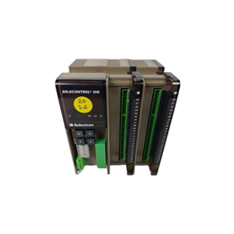 SELECTRON OIS 22 BEDG04 CPU控制器