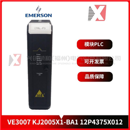 DS200LRPAG1A   GE