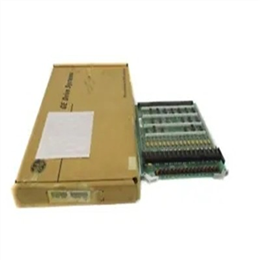GENERAL ELECTRIC DS3800HSCD1J1G   输入板
