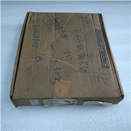 IC693DNM200  GE模块