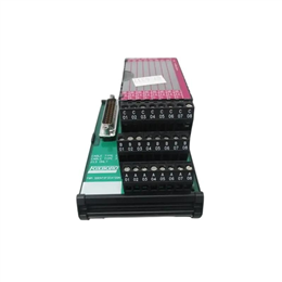 Foxboro P0916AE Fbm203总成8输入端子