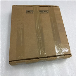 D20C TERMINATION   GE模块