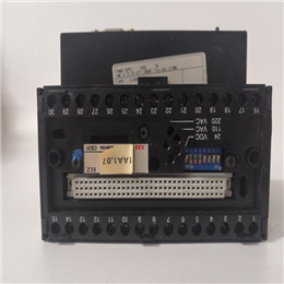 216EA61B HESG448230R1 | HESG324258R12 ABB 模拟I/P单元