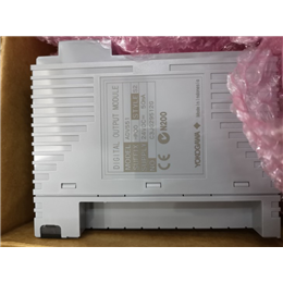 P0973LN FOXBORO 全新现货