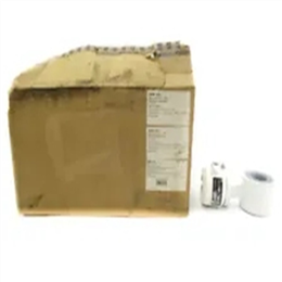 ABB FEM325050E1G0W1Y1A1A2P1B0Y1AY 流量计