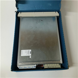 6009BZ10000P | ABB |D/M模块