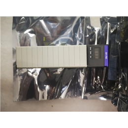  1775-MEF A Error Correcting Ram Module     模块