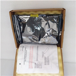 IS200SRTDH2ACB  GE模块