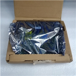 DS200TCQCG1BKG    GE模块