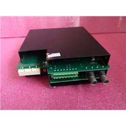 IC220EBI002 GE 全新现货