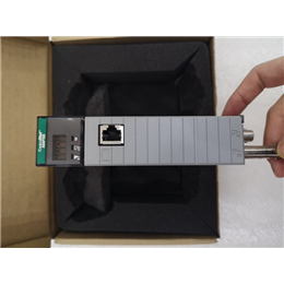  1336F-BRF50-AN-​EN-HAS2-LA2-LA3​-L6 USPP 13           备品备件