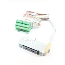 Foxboro P0902BM终端电缆组件