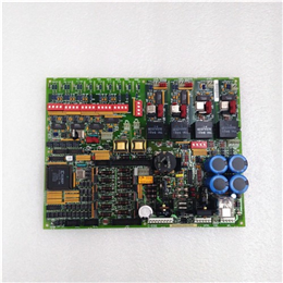 IS210AEPSG1A | GE | Mark VI系统设计的PCB元件