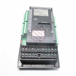 DS200UPLAG1A 电路卡