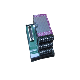 Foxboro P0916AG FBM204现场端子组件