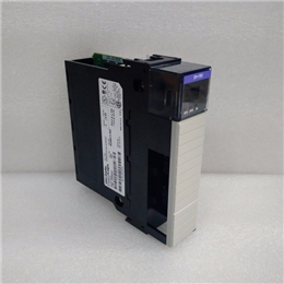 1336F-BRF100-AA-EN-L5-HAS2