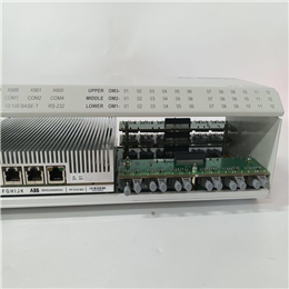 EXPUT 3402062700 PLC模块