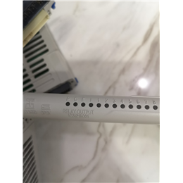 IC200ALG620 GE 全新现货