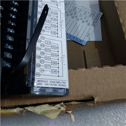 IC3600KRSV1A1A