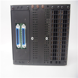 8101-HI-TX-02  GE模块