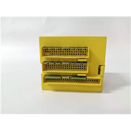 DS200SDCCF1AVC  GE