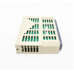 西屋1C31125G02数字输出模块