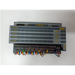 IC694MDL654 GE 全新现货