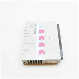 西屋1C31132G01模拟输出模块