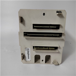 IEMMU21 | ABB | 安装单元