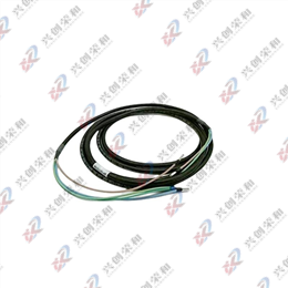 Foxboro P0923ZJ Power Cable Assy Assembly I/A Series