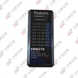 Foxboro FBM219 P0916RH离散I/O接口模块
