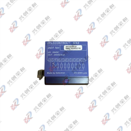 Selecontrol MAS PLC CPU单元411-002