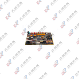 DS200TCQEG1A输入/输出处理器板